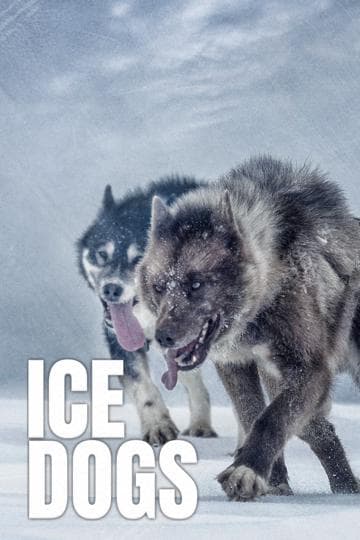 Ice Dogs: The Only Companions Worth Having