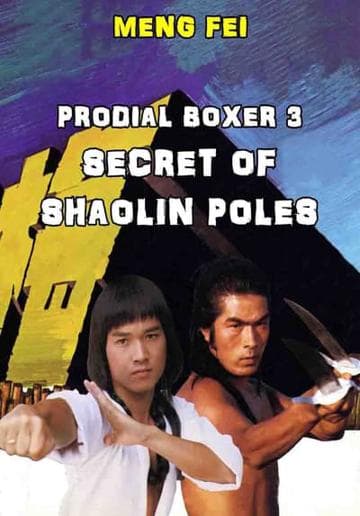Secret of the Shaolin Poles