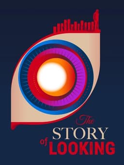 The Story of Looking