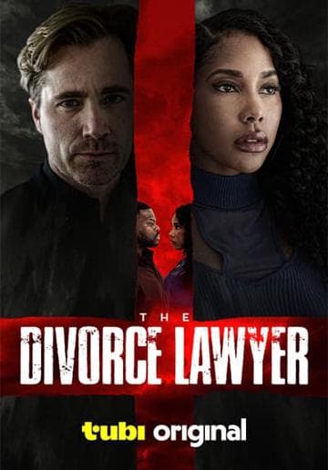 The Divorce Lawyer