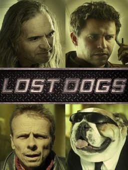 Lost Dogs