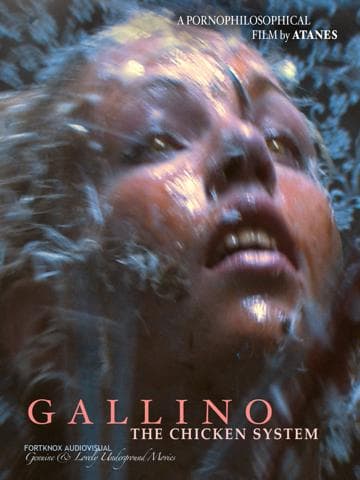 Gallino, the Chicken System