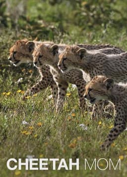 Cheetah Mom
