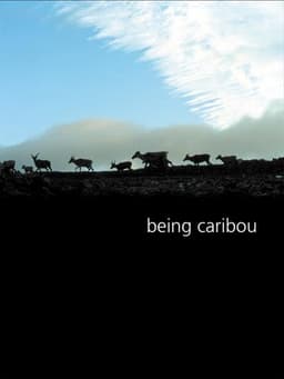 Being Caribou