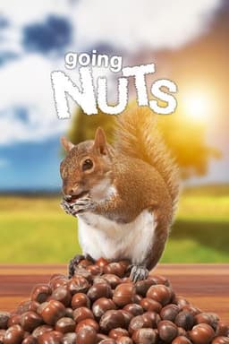 Going Nuts: Tales from the Squirrel World