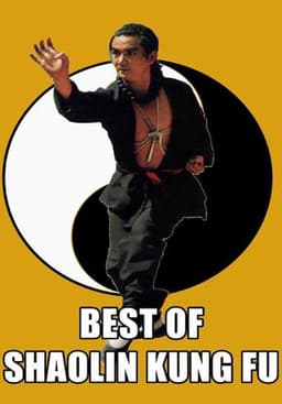 The Best of Shaolin Kung Fu