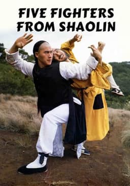 Five Fighters from Shaolin