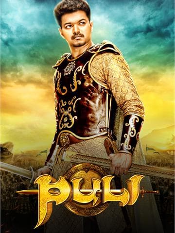 Puli