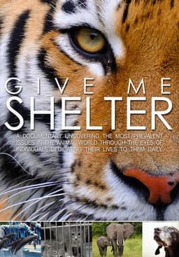 Give Me Shelter