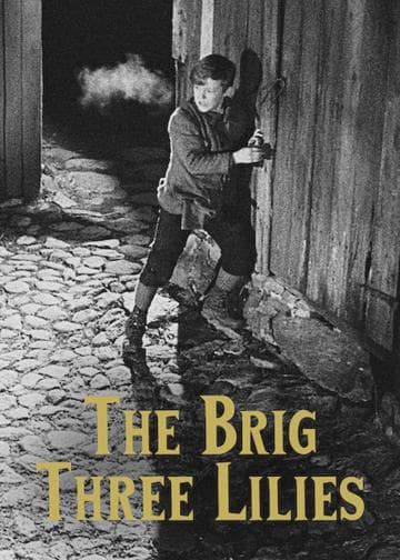 The Brig Three Lilies