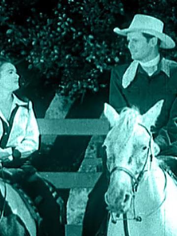 The Fighting Stallion