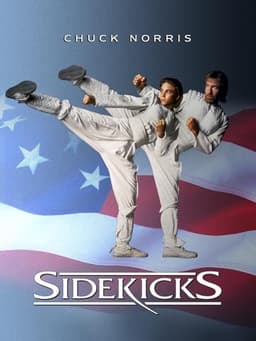 Sidekicks