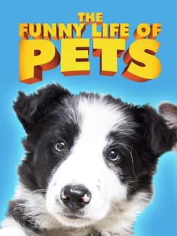 The Funny Life of Pets
