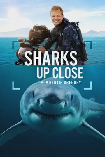 Sharks Up Close with Bertie Gregory