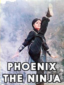 Phoenix the Ninja