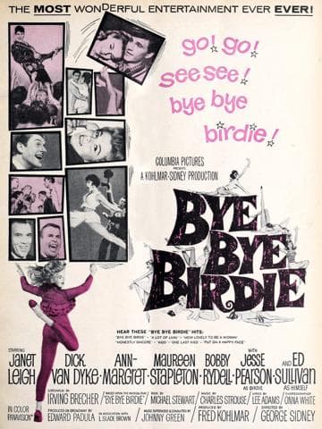 Bye Bye Birdie