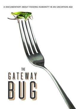 The Gateway Bug