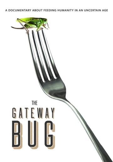 The Gateway Bug