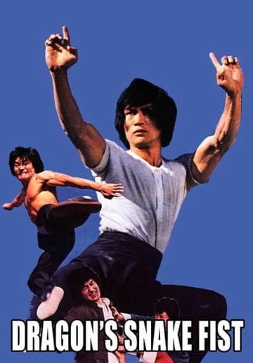 The Dragon's Snake Fist