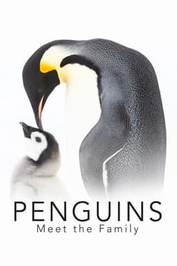 Penguins: Meet the Family