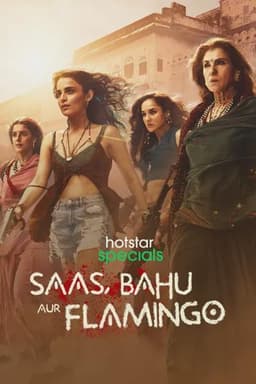 Saas, Bahu Aur Flamingo