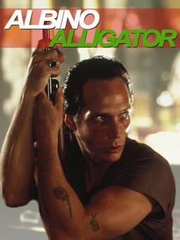 Albino Alligator