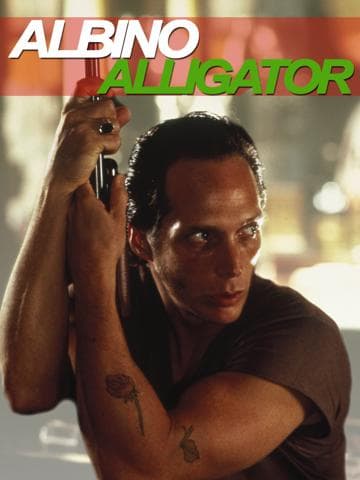 Albino Alligator