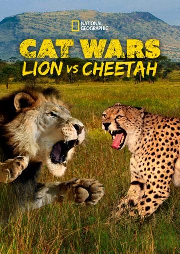 Cat Wars: Lion vs. Cheetah