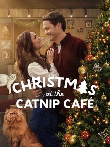 Christmas at the Catnip Café