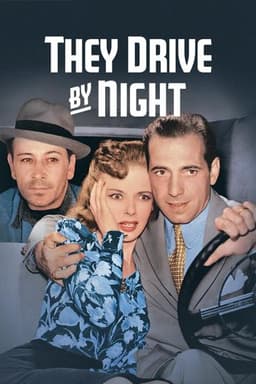 They Drive by Night