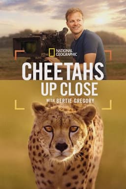 Cheetahs Up Close with Bertie Gregory