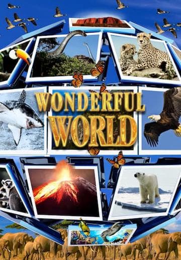 Wonderful World 3D