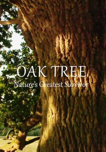 Oak Tree: Nature's Greatest Survivor