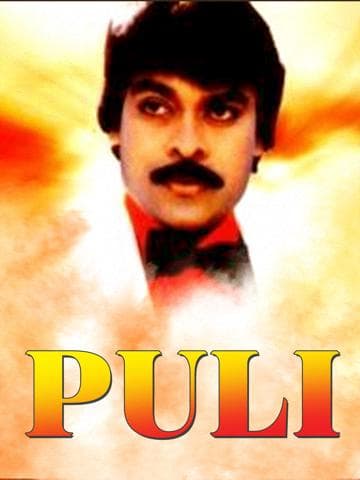 Puli