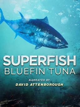 Superfish: Bluefin Tuna