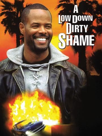 A Low Down Dirty Shame