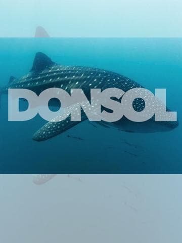 Donsol