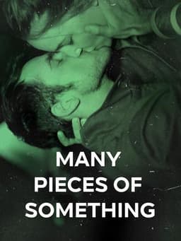 Many Pieces of Something