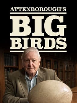 Attenborough's Big Birds