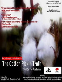 The Cotton Pickin Truth... Still on the Plantation