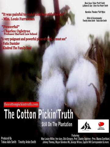The Cotton Pickin Truth... Still on the Plantation