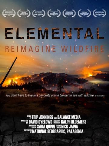 Elemental: Reimagine Wildfire