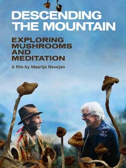 Descending the Mountain