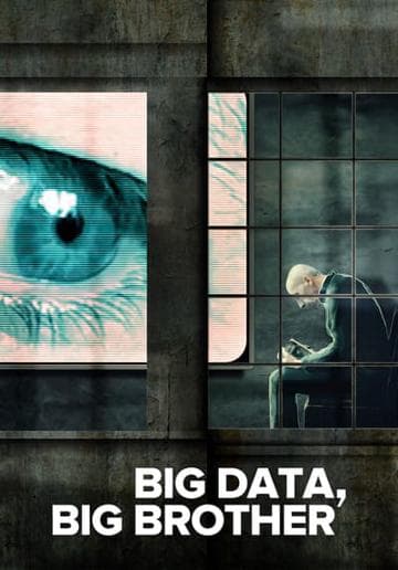 Big Data, Big Brother