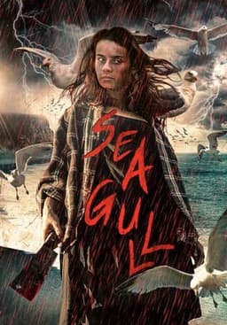 Seagull