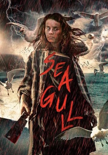 Seagull