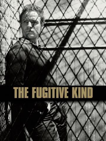 The Fugitive Kind
