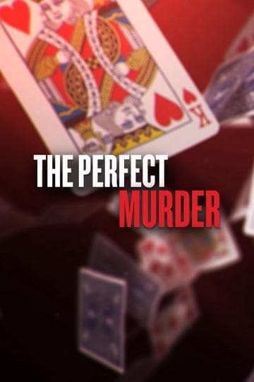 The Perfect Murder