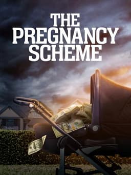 The Pregnancy Scheme