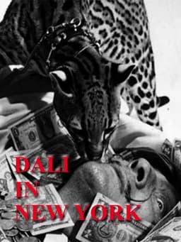 Dali In New York
